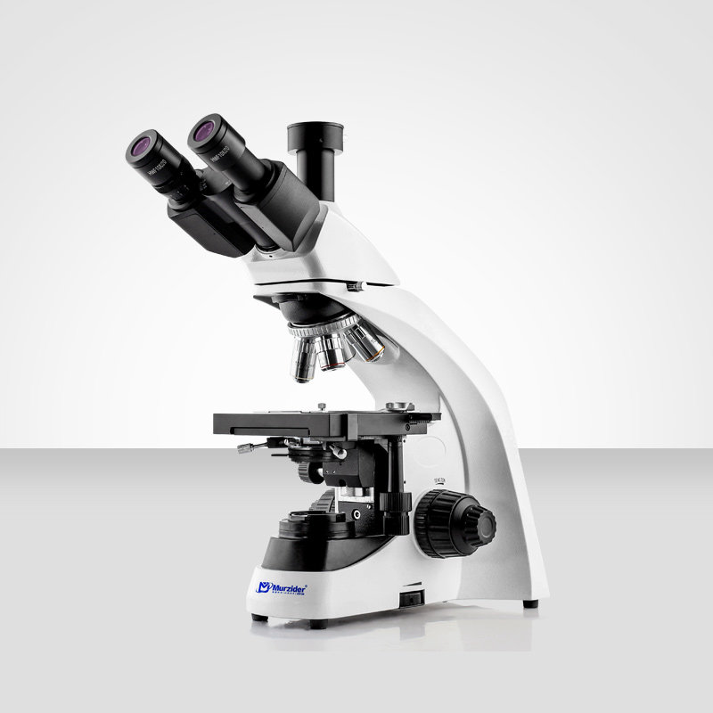 Murzider迈时迪     MSD501    生物显微镜
