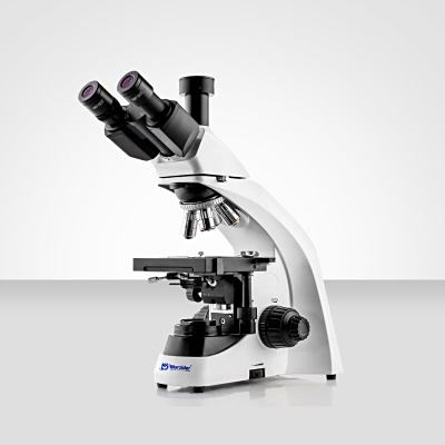 Murzider迈时迪     MSD501    生物显微镜