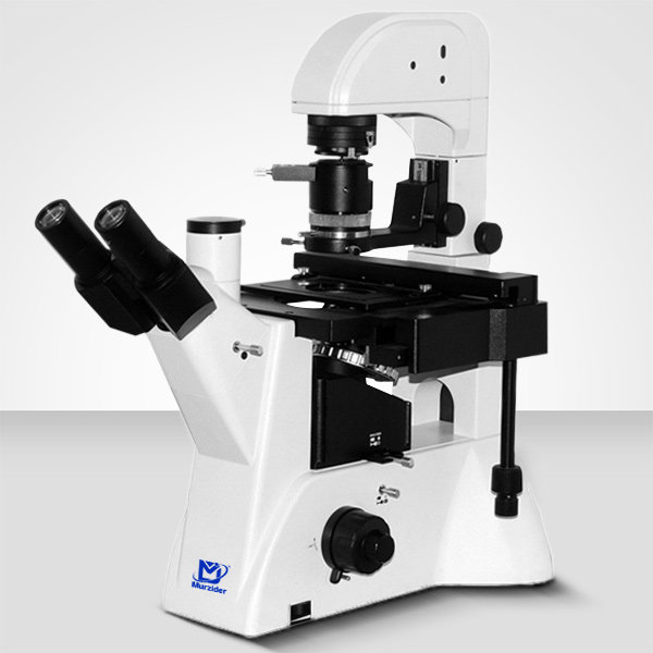 Murzider迈时迪     MSD531DIC    生物显微镜