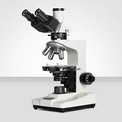 Murzider迈时迪    MSD6700     偏光显微镜