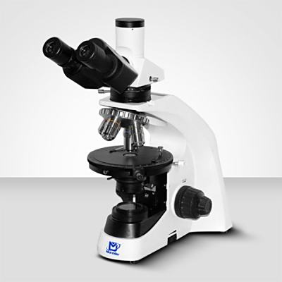 Murzider迈时迪     MSD6555    偏光显微镜