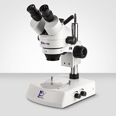 Murzider迈时迪     MSD202-B2    体视显微镜
