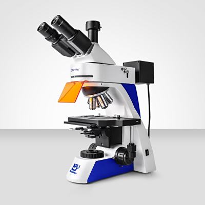 Murzider迈时迪    MSD-S800     荧光显微镜