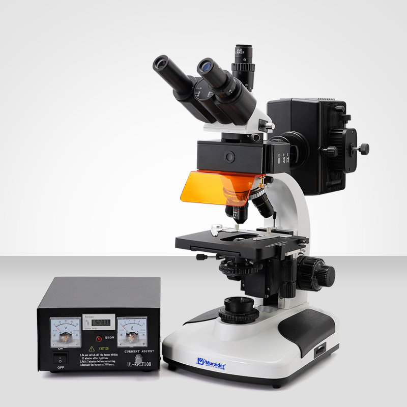 Murzider迈时迪    MSD510     荧光显微镜
