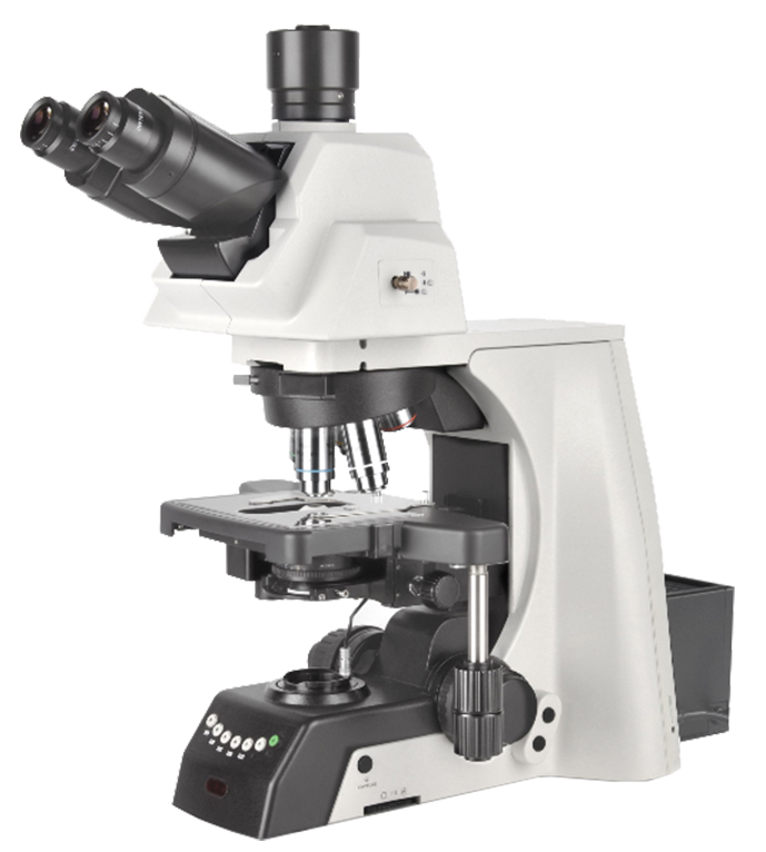 NOVEL永新   NE930     生物显微镜