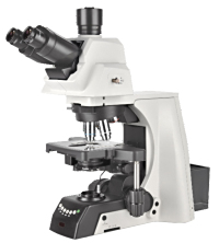 NOVEL永新   NE930     生物显微镜