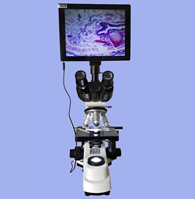 CAIKON蔡康    XSP-4C   视频生物显微镜
