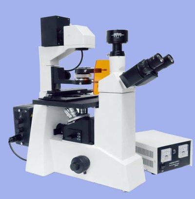 CAIKON蔡康   DFM-60C    电脑型倒置荧光显微镜