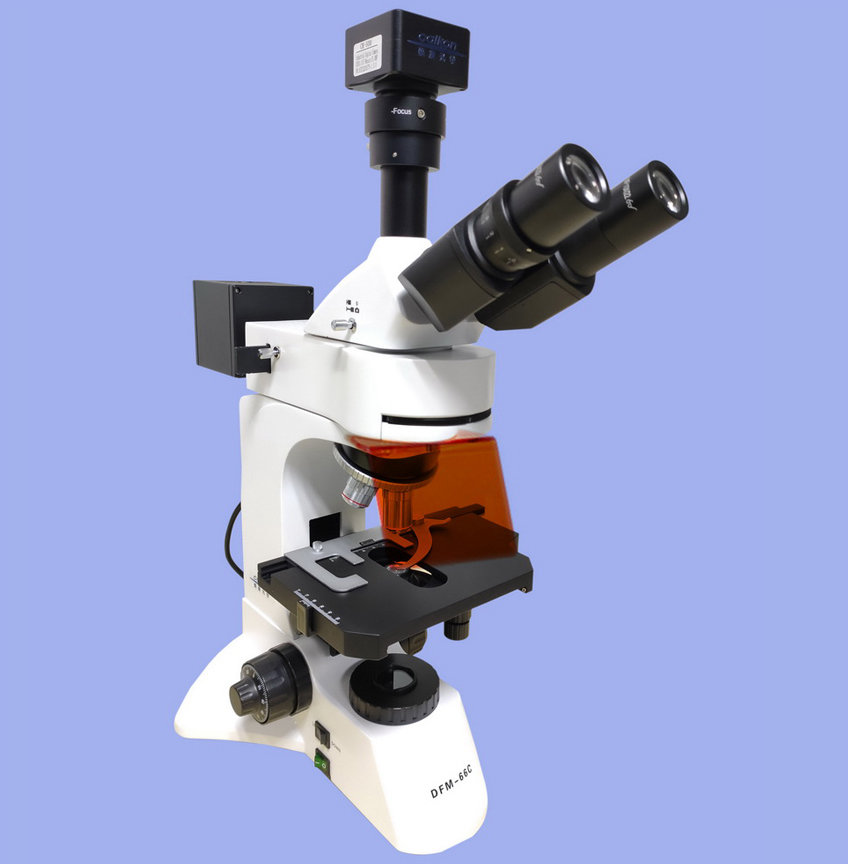 CAIKON蔡康   DFM-66C    正置荧光显微镜