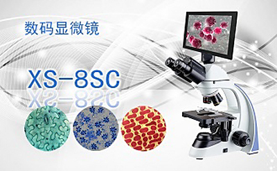 PUZHE蒲柘    XS-8SC    数码生物显微镜