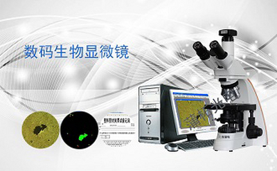 PUZHE蒲柘    XM-系列    数码生物显微镜