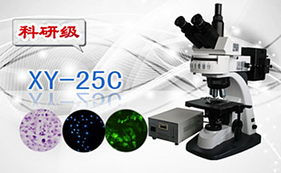 PUZHE蒲柘     XS-25C   三目荧光显微镜