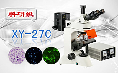 PUZHE蒲柘   XS-27C     三目荧光显微镜