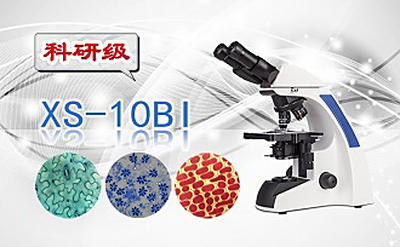 PUZHE蒲柘    XS-10BI    双目生物显微镜