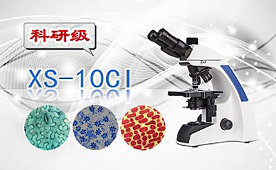 PUZHE蒲柘     XS-10CI   三目生物显微镜