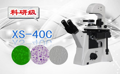 PUZHE蒲柘    XS-40C    三目倒置生物显微镜