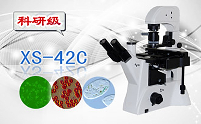 PUZHE蒲柘   XS-42C     三目倒置生物显微镜