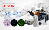 PUZHE蒲柘   XS-43C   三目倒置荧光显微镜