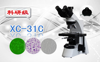 PUZHE蒲柘     XS-31C   三目相衬显微镜