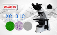 PUZHE蒲柘     XS-31C   三目相衬显微镜
