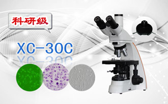 PUZHE蒲柘   XS-30C     三目相衬显微镜