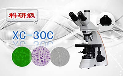 PUZHE蒲柘   XS-30C     三目相衬显微镜