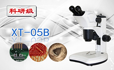 PUZHE蒲柘     XT-05B   双目连续变倍体视显微镜