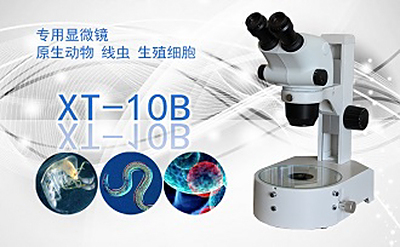 PUZHE蒲柘    XT-10B    双目连续变倍体视显微镜