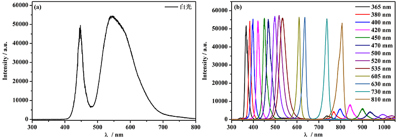 63a525896fd54.jpg 图片7.jpg