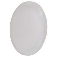 Thorlabs索雷博    LA5220  CaF2平凸球透镜