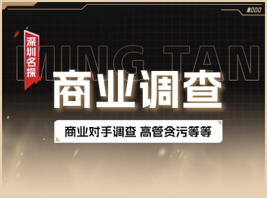 商业调查服务 - 保护您的企业资产