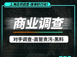 别墅电梯