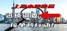 上海侦探调查服务宣传图片，背景展示上海城市天际线和东方明珠塔，包含“上海侦探调查 找专业侦探”字样和红色箭头，突出专业调查服务，适合SEO优化和可访问性支持