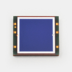 HAMAMATSU  滨松  S16008-66  光电二极管