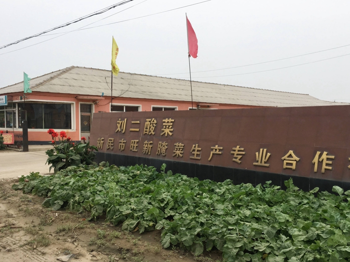 公司外景