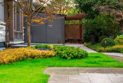 我有一院，光语绿蕴