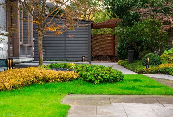 我有一院，光语绿蕴