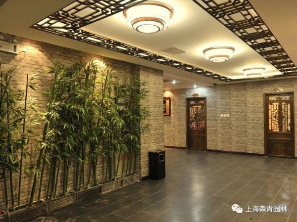 我有一院，闲雅和暖