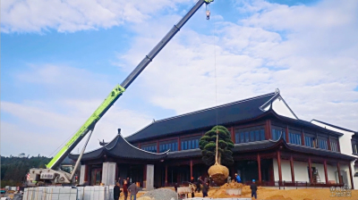 森肯園林工地紀實系列2--種苗