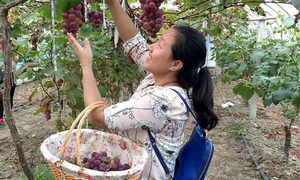 我们在一起-2015.09