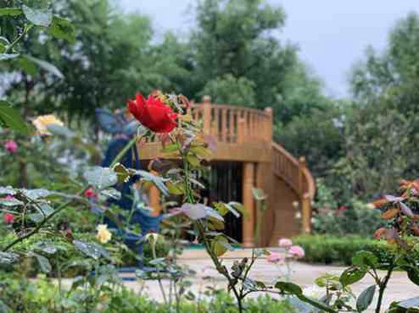 森肯園林案例視頻欣賞