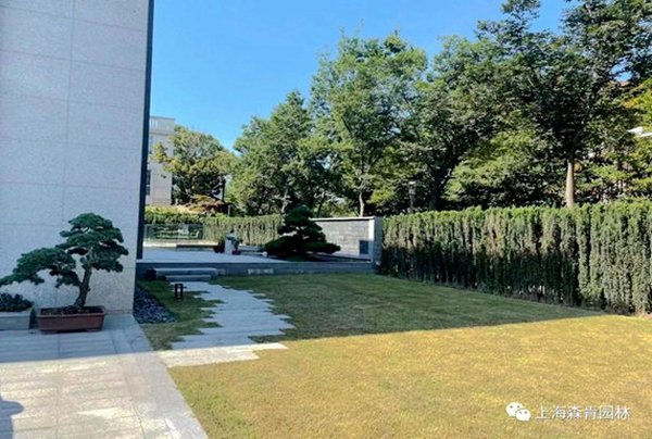 我有一院，清净活力