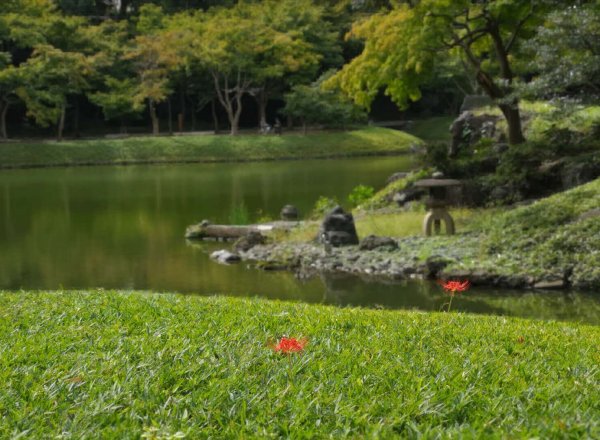 义乌某别墅花园视频欣赏