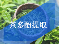茶多酚、綠原酸提取樹脂