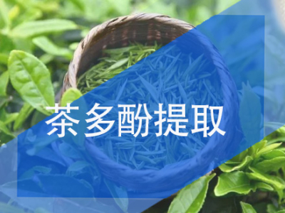 茶多酚、绿原酸提取树脂