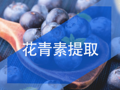 花青素提取树脂