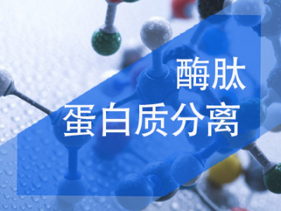 酶、肽、蛋白质的吸附分离