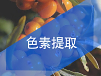 色素提取樹脂