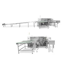 奶粉中袋包装套袋机TD300