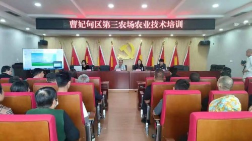【农民培训】科技助农耕 培训进田间——曹妃甸区职教中心培训处开展农业生产技术培训活动